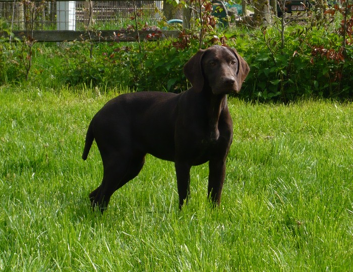 Gaia Du chateau d'avesnes